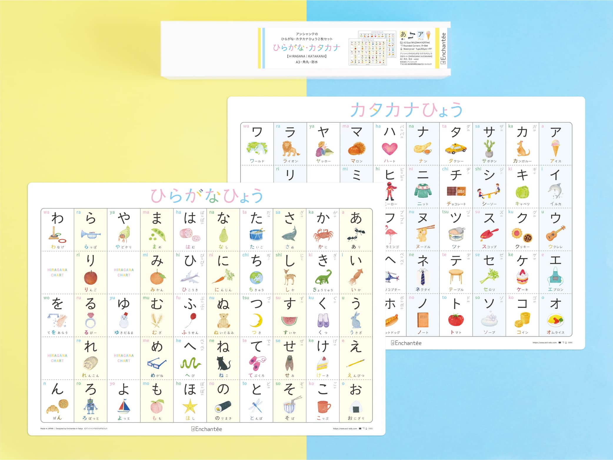 Enchantée Learning Japanese Hiragana and Katakana Chart A3 Rounded Corners Waterproof