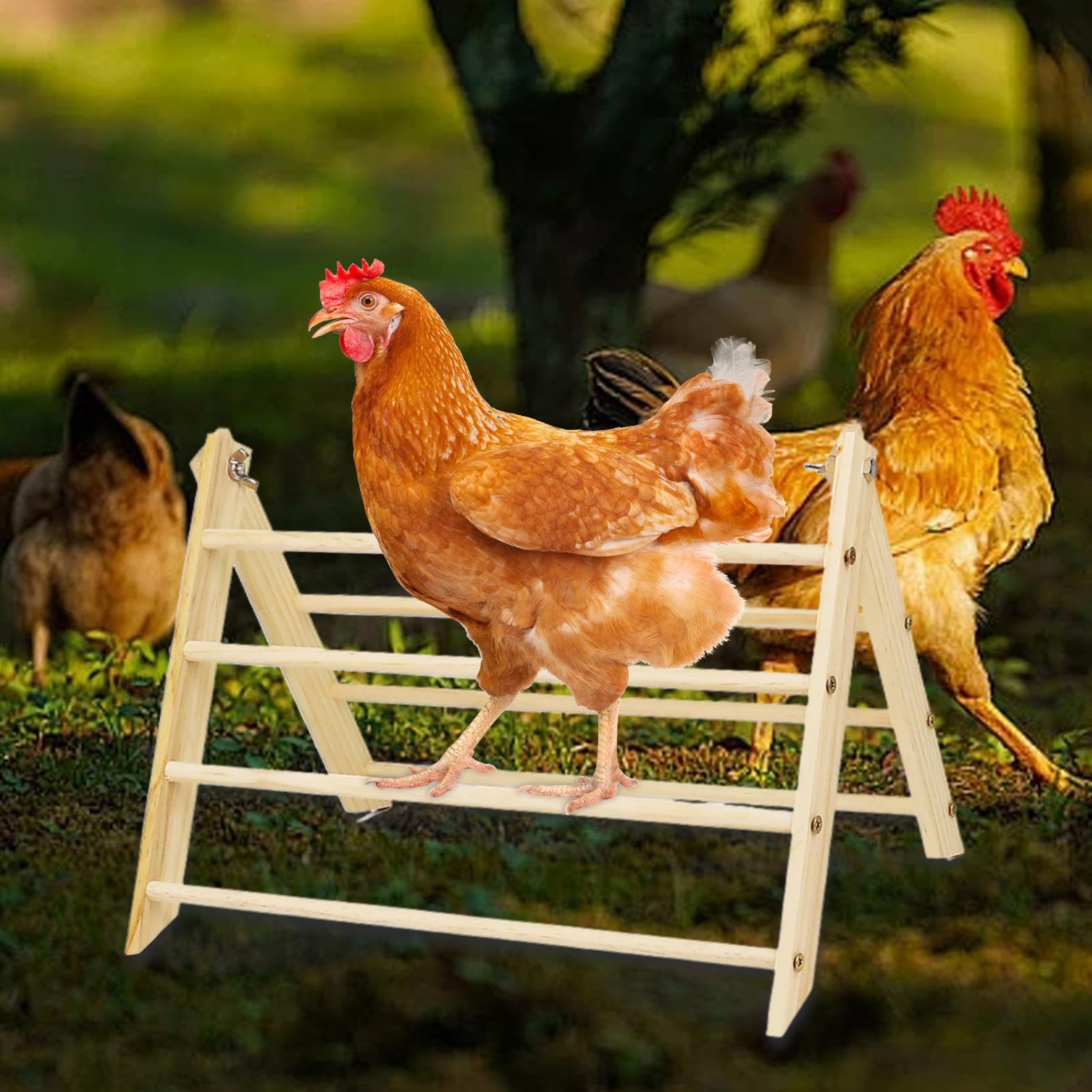 per polli – Supporto in legno per ambienti esterni – Comodo posatoio per pollo, pollo, per cortile, esterno, fattoria, di medie dimensioni e grandi, pulcini, pollo