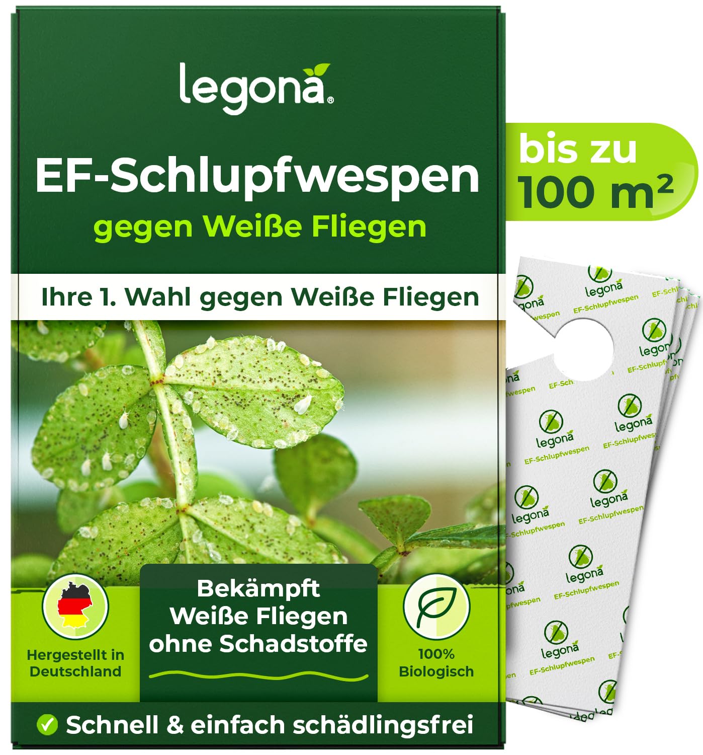 Legona EF-Schlupfwespen gegen Weiße Fliegen, 10 Träger 3 Lieferungen