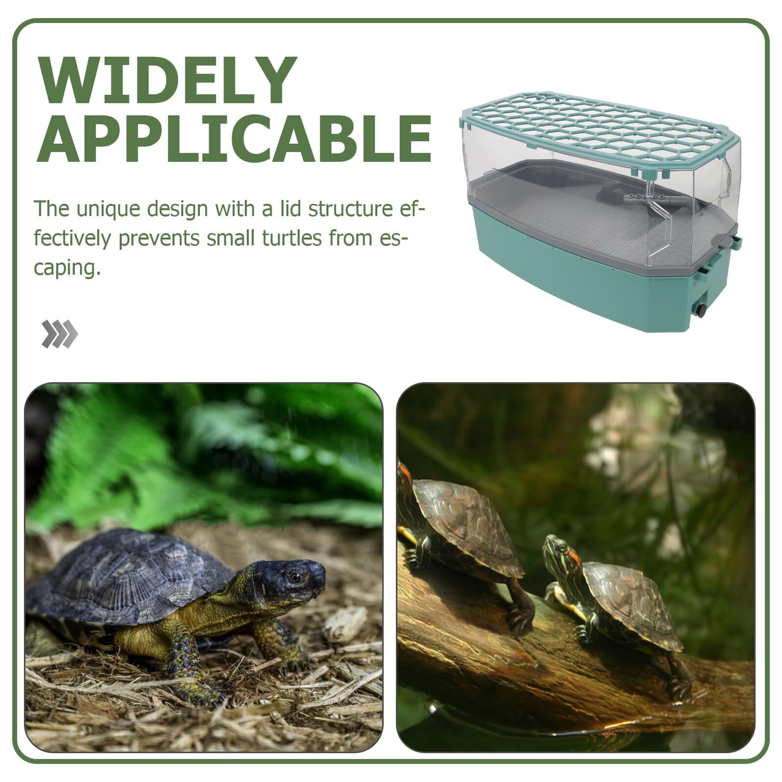 Toddmomy Terrarium pour Tortues avec Plateforme de Repos Petit Aquarium pour Tortues Eau Douce et Reptiles Conception Anti-évasion pour Habitat Sécurisé