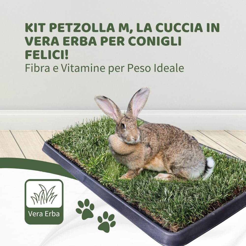 Kit M coniglio Petzolla - Cuccia per conigli estiva in Vera Erba con Vassoio Riutilizzabile 92x52 cm, Lettiera coniglio Naturale e Atossica, Tappeto per conigli da interno dura fino a 5 mesi