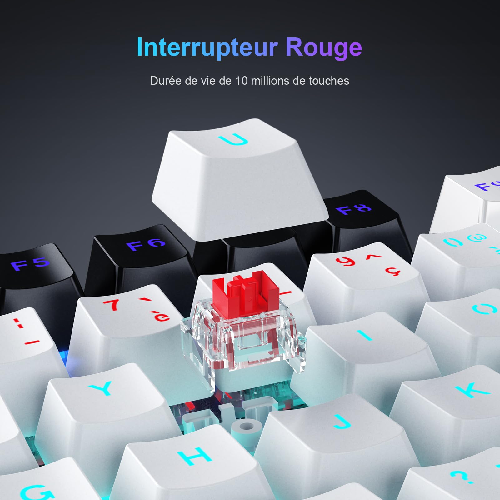 TECURS Gaming Clavier Mécanique Gamer Keyboard sans Fil (2.4G Filaire) Rétroéclairé, 80% TKL Clavier AZERTY, Axe Linéaire, Anti-Ghosting, pour Ordinateur/PC/Windows/Xbox