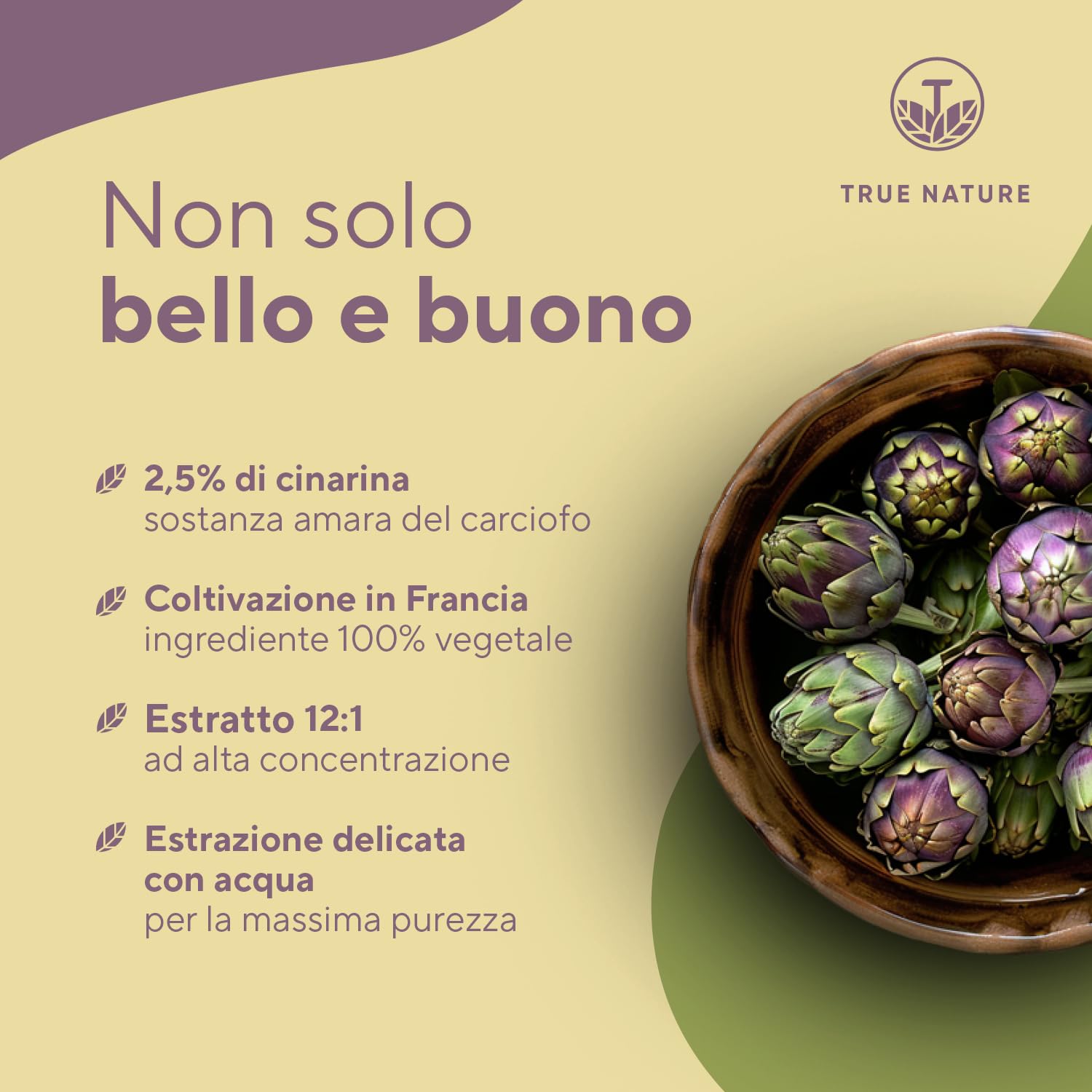 Estratto di carciofo - 300 Capsule - 2.400mg dose giornaliera - Alto dosaggio (12:1) - 60mg di cinarina - Estratto carciofi francese - Vegano - Testato in Laboratorio, produzione Tedesca - TRUE NATURE