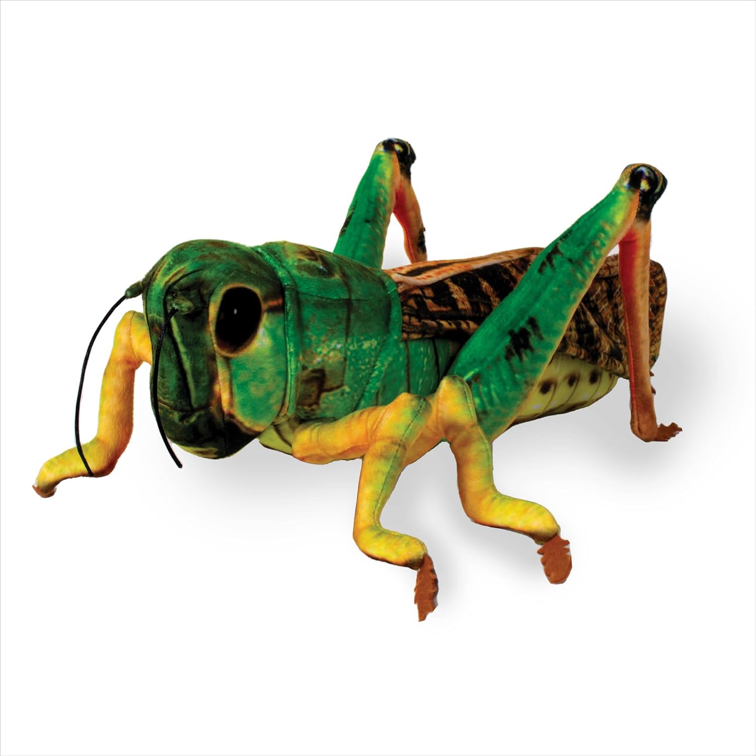 Real Planet 15 Inch Grasshopper Stuffed Animal - Grasshopper 3D Realistic Stuffed Animals Plush Toy, Creepy Gifts Weird Plushie Bug, Insects and Bugs for Kids