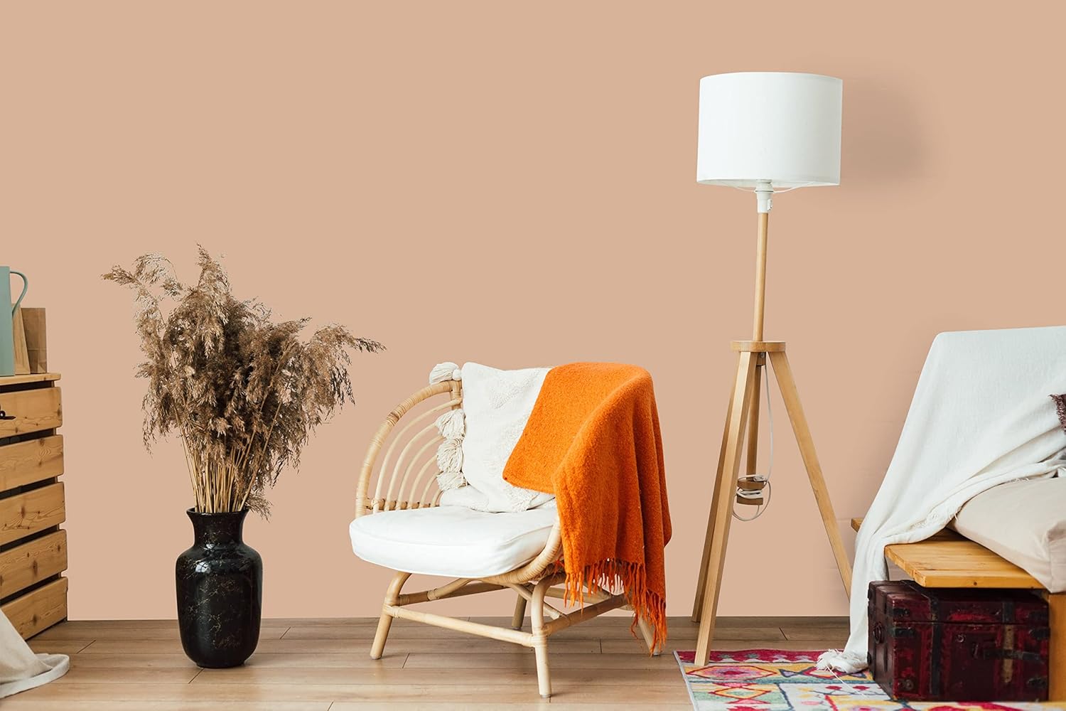 The Color Kitchen Light Wall Paint - Painter's Paint for Living Room and Bedroom - Matte Interior Paint in Orange - 5 L Opaque Paint in TCK6021