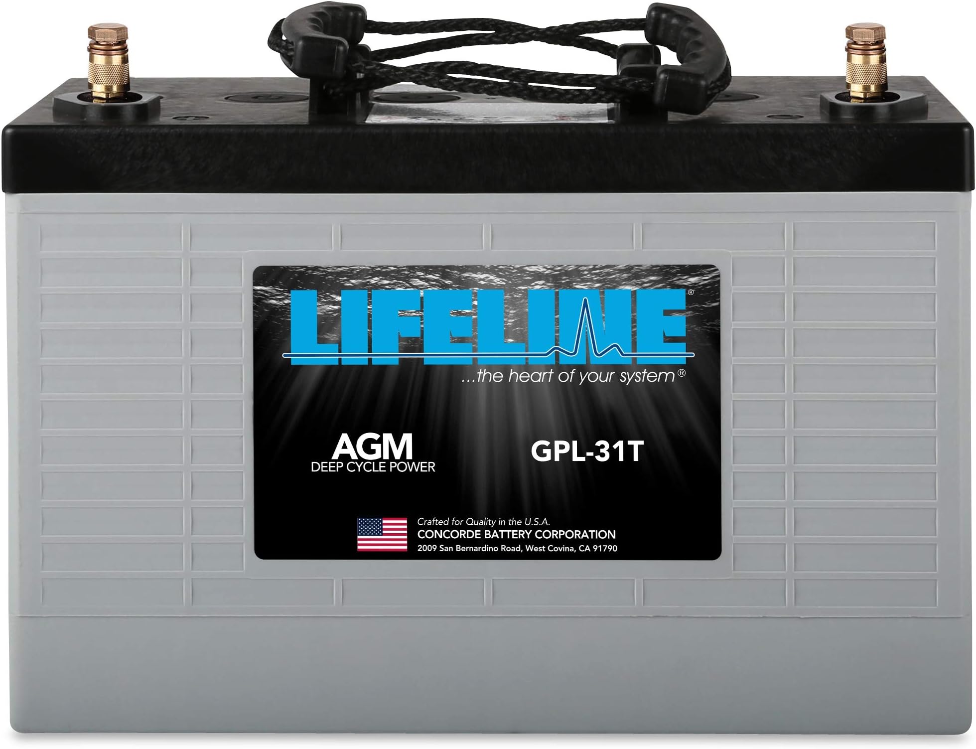 Lifeline Marine AGM Battery - GPL-31T