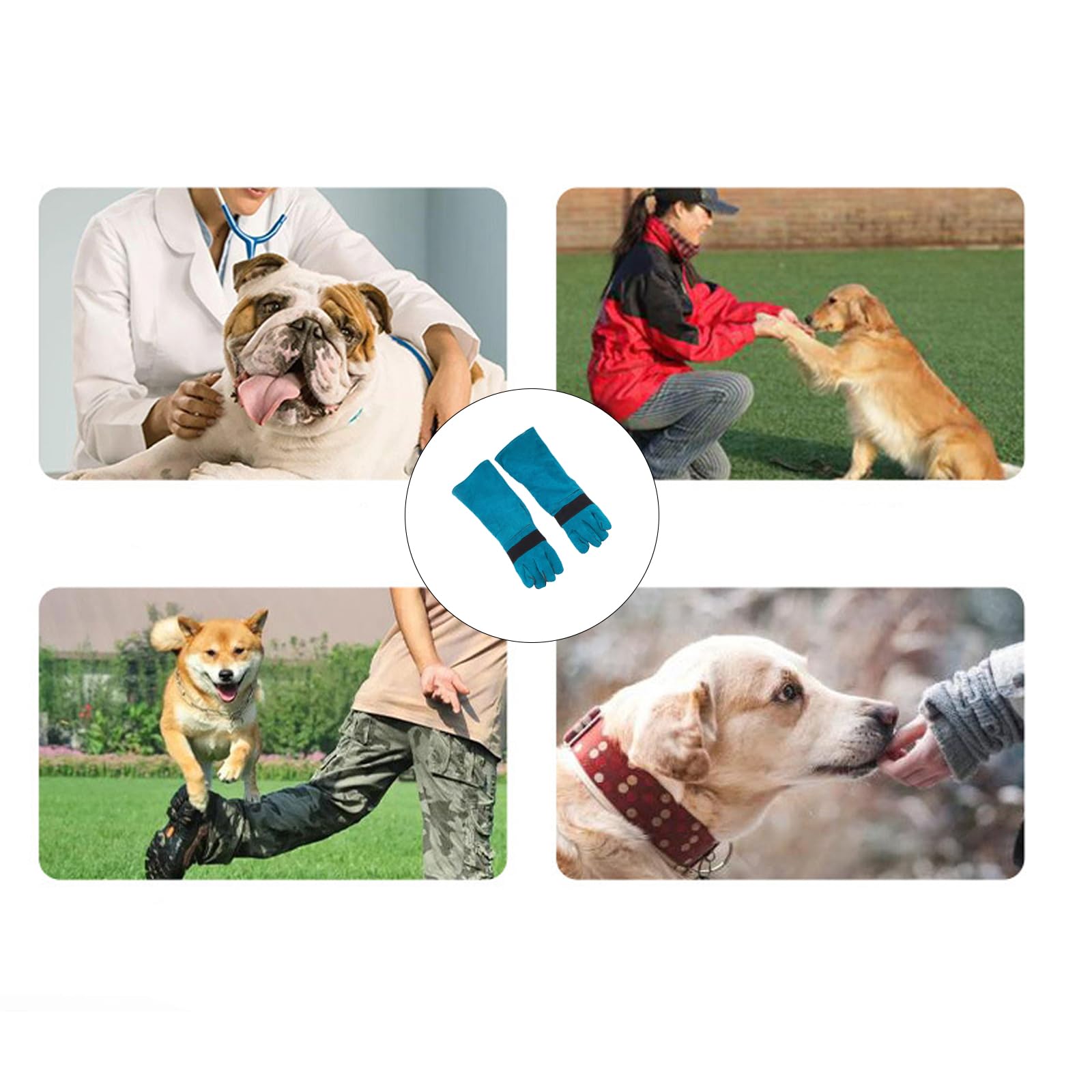 Gant permanent flexible pour la manipulation d'animaux rugueux, le jardinage, le toilettage professionnel et les gants de travail en cuir respirant