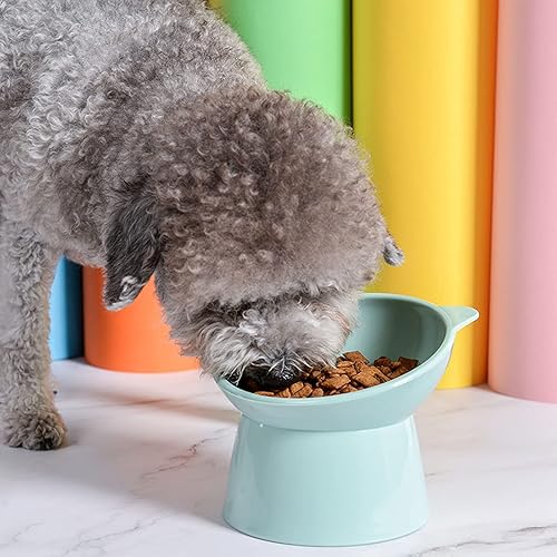 Miniatura 3 de Cuenco elevado inclinado para gatos  Cuencos para gatos aptos para bigotes anti vómitos cuencos inclinados para alimentación de gatos, lindo cuenco