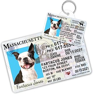 Massachusetts Driver License Custom Dog Tag for Pets and Wallet Card - Personalized Pet ID Tags - Dog Tags for Dogs - Dog ID Tag - Personalized Dog ID Tags - Cat ID Tags - Pet ID Tags for Cats