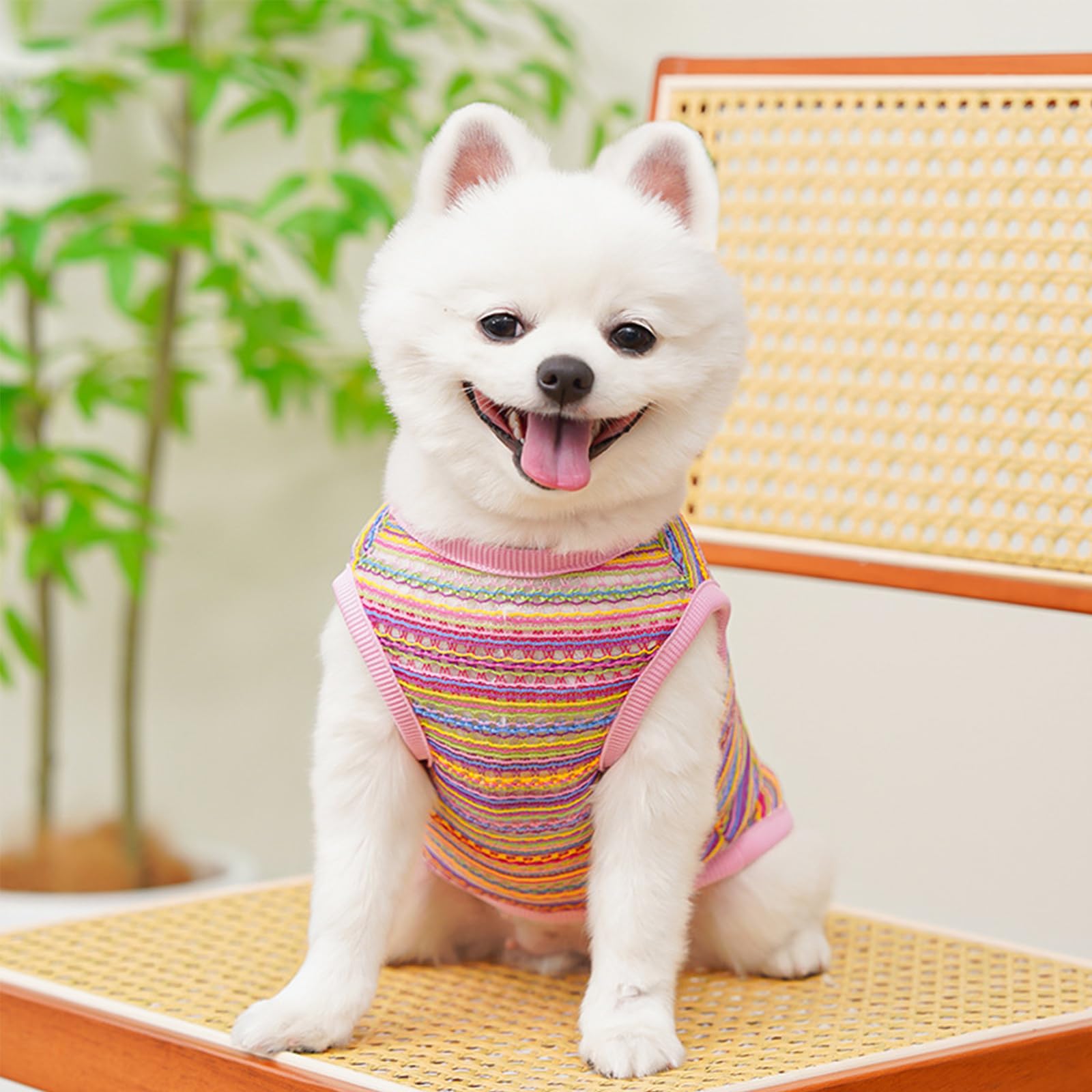 Yoolhamy Dog Clothes for Small Dogs Summer Vest Pupply T Shirts Breathable Sleeveless Tee Shirt for Pet Chihuahua Yorkie Teddy Cat Sweatshirt (2pcs) (L) - Image 2