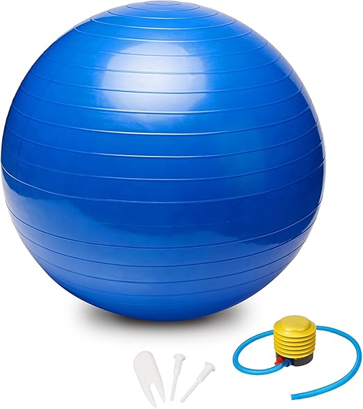 驚きの安さ バランスボールと空気入れ 100 本物保証 驚きの安さ バランスボールと空気入れ 100 本物保証