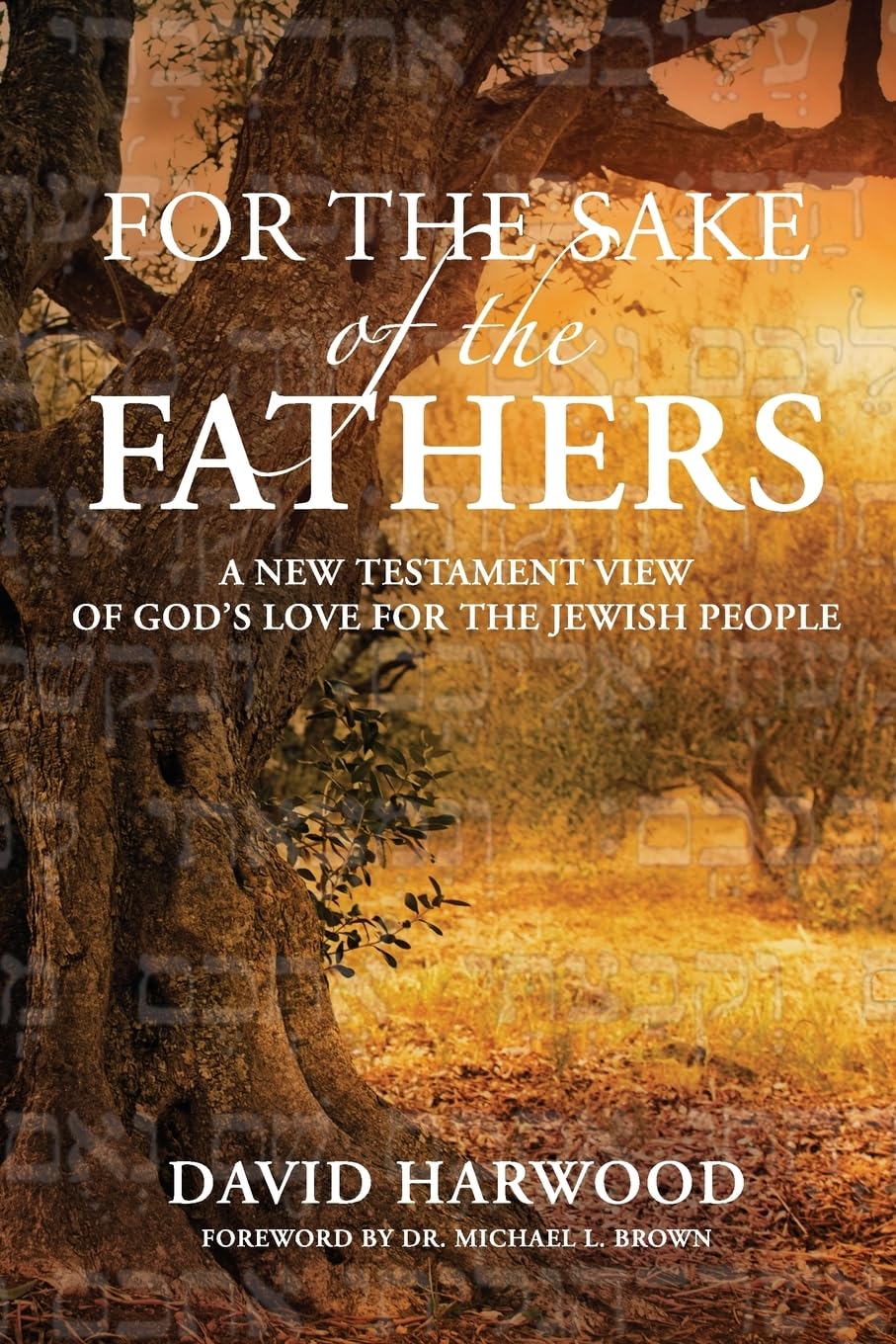For the Sake of the Fathers: A New Testament View of God's Love for the Jewish People