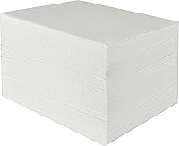AainTools Heavyweight Oil-Only Absorbent Pads 15x20" White 100 Pack - Durable Spill Cleanup Mats for Garage & Workshop