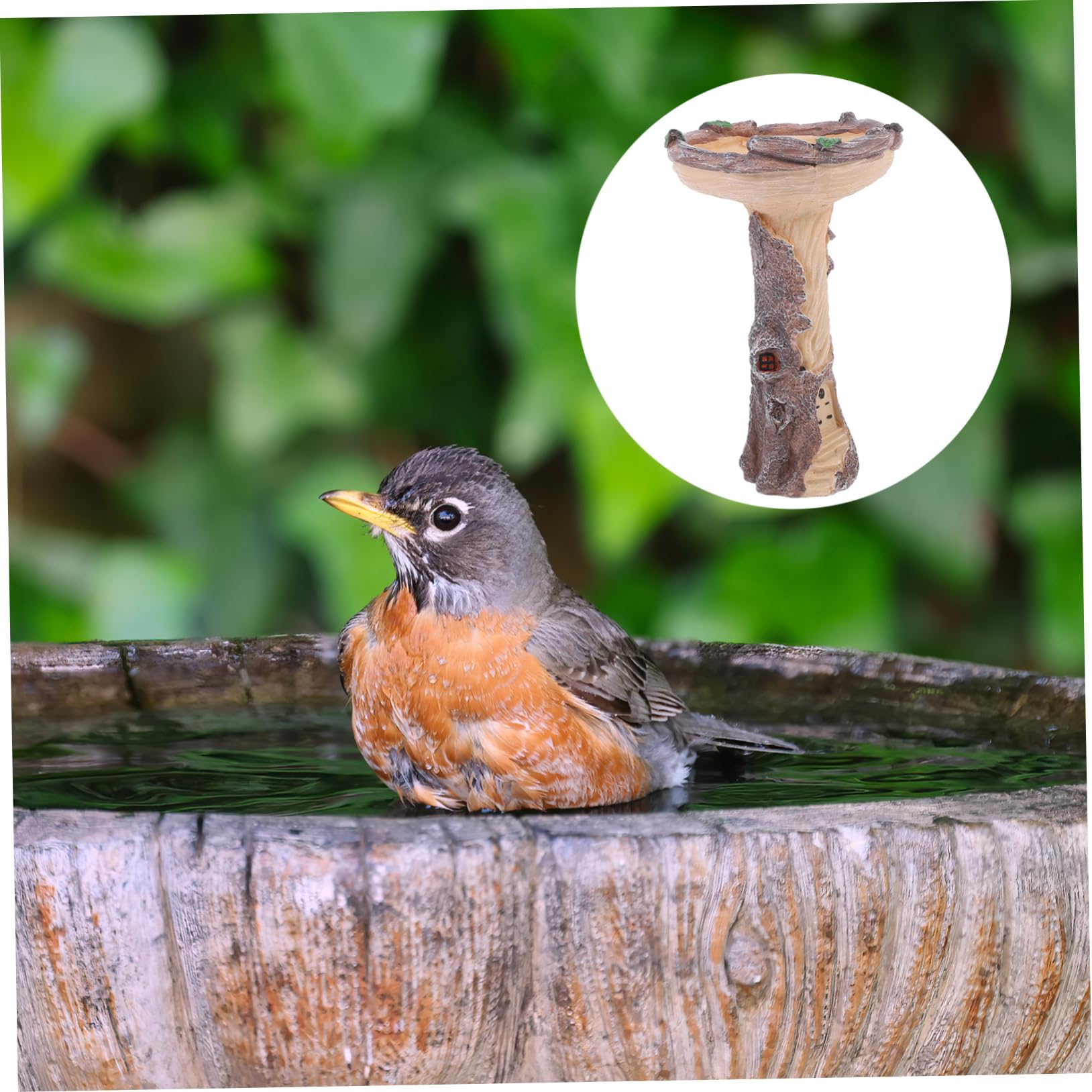 Levemolo Mangiatoia Per Uccelli Con Stile Decorativo Bagno Per Uccelli Da Giardino Per Esterni Facile Da Pulire Per e Cortili