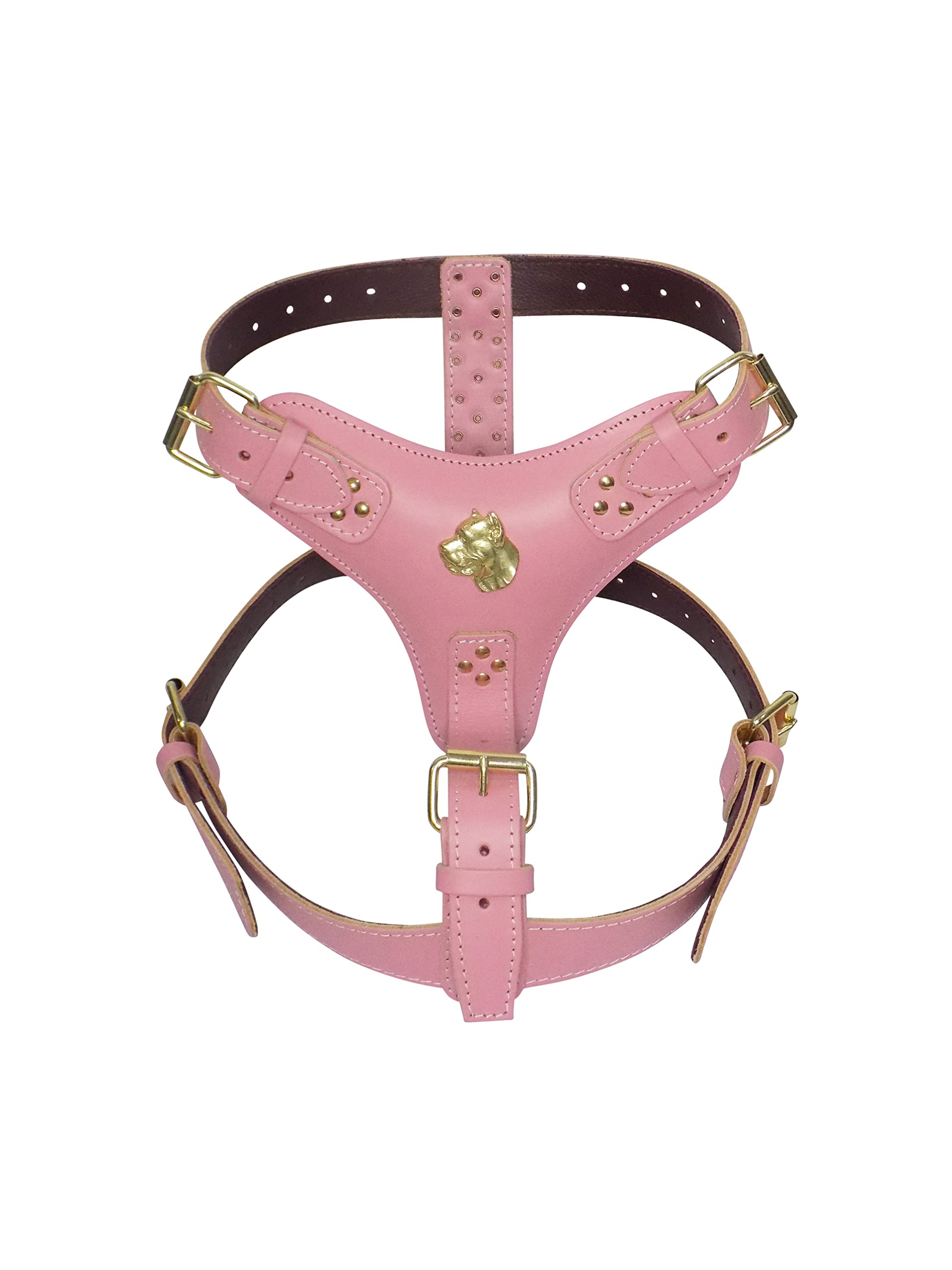 Extra Large Heavy Duty Baby Pink Leather Dog Harness with Unique Gold Cane Corso Head Motif and Gold Fittings