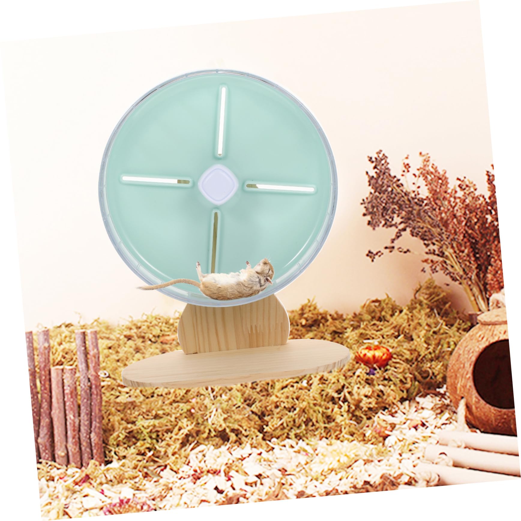 Roue Silencieuse pour Hamster Chinchilla Et Rat Domestique Roue Exercice Compacte Et Stable pour Cage