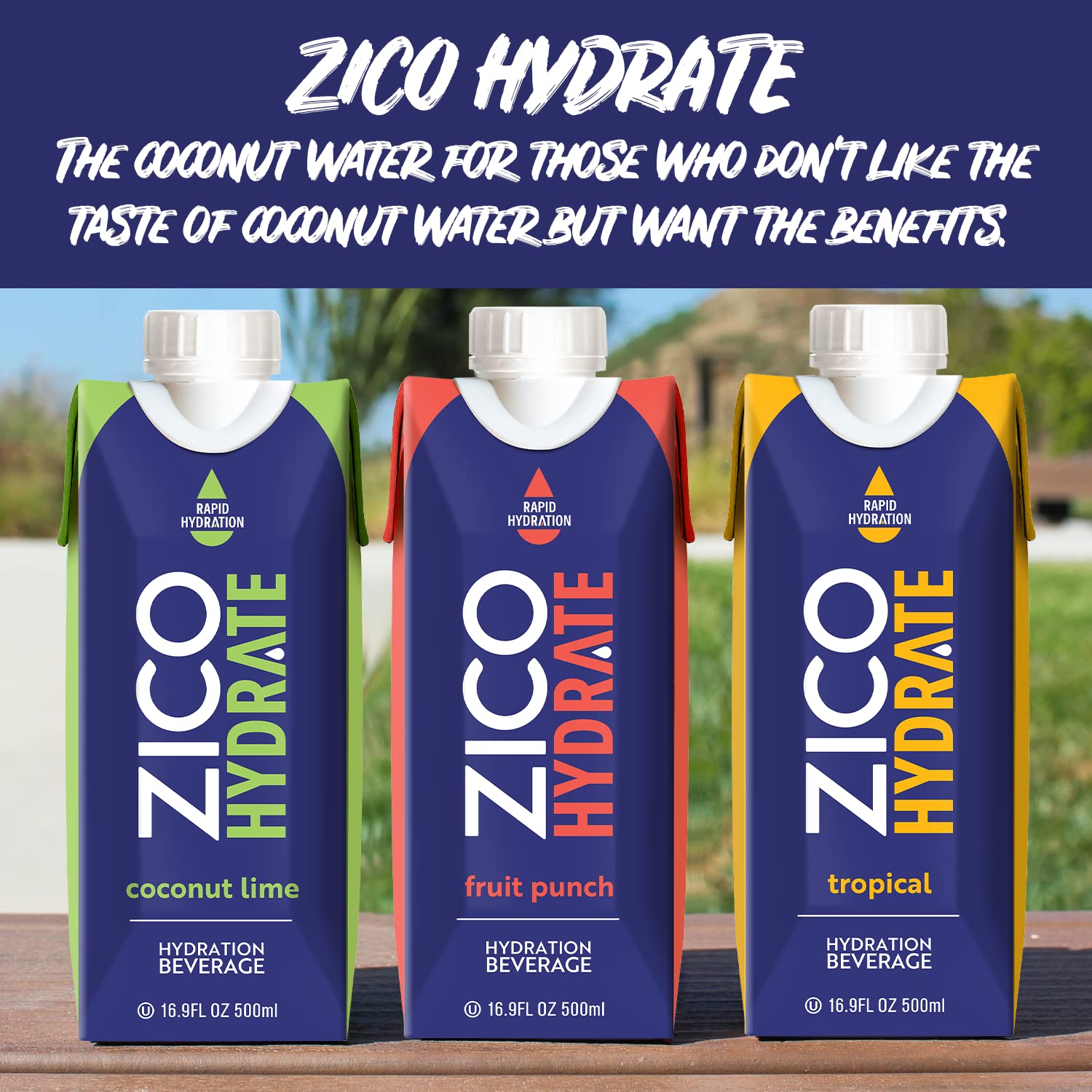 ZICO Hydrate Sports Drink with Natural Electrolytes for Rapid