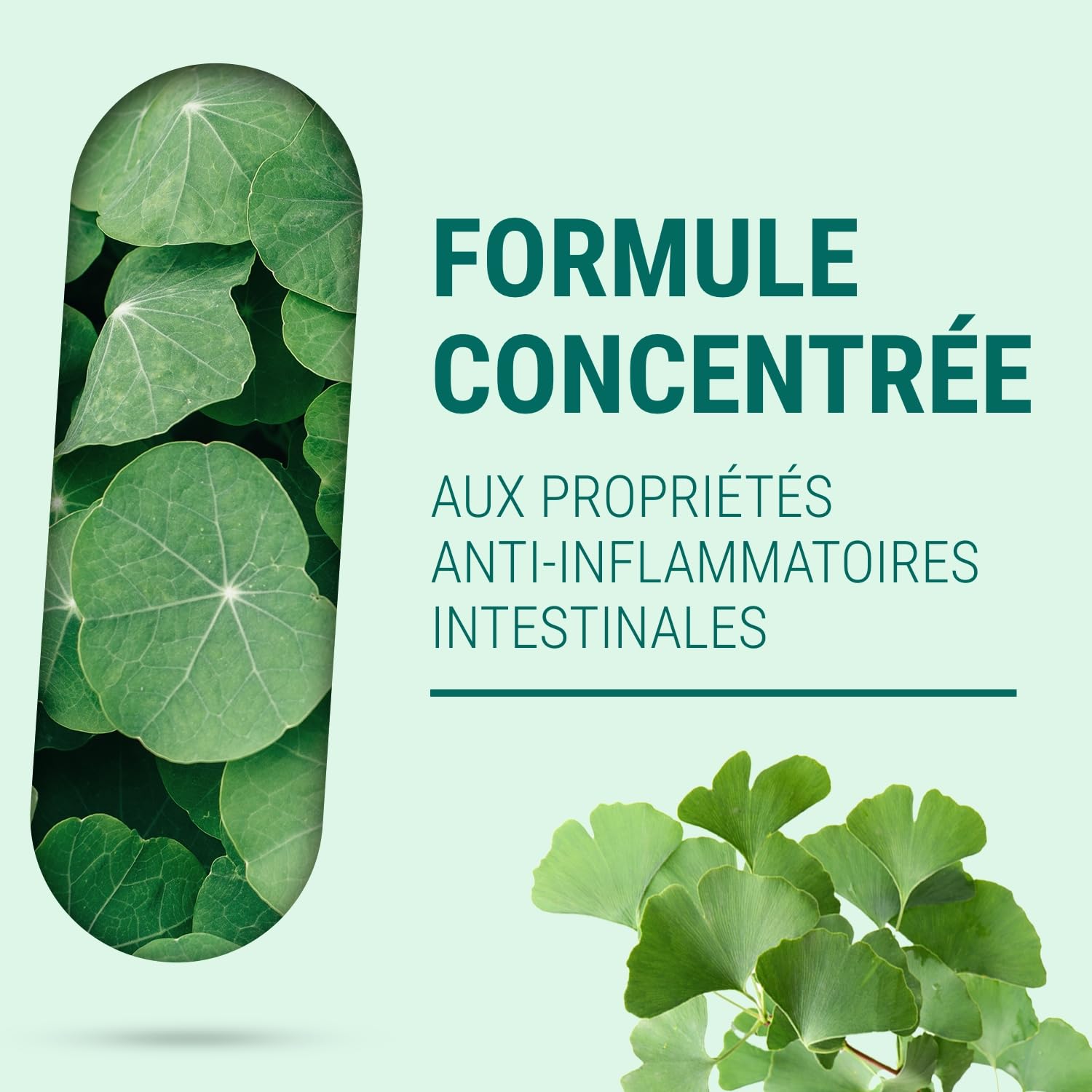 L-GLUTAMINE 500 - Fort dosage - Anti-inflammatoire - Complément Alimentaire Confort Digestif Intestinal - 150 Gélules - Fabriqué en France - Vegan - Sans Additifs Allergènes OGM