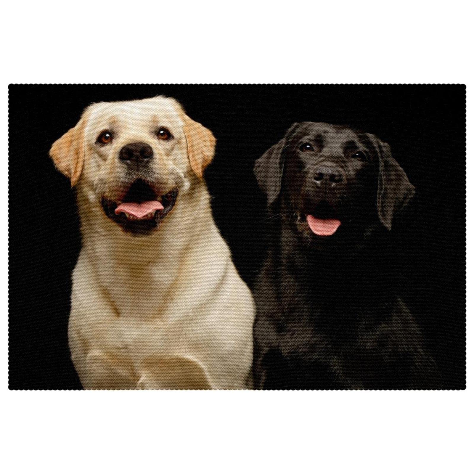 Set de table de qualité supérieure en forme de chien noir et blanc résistant x6