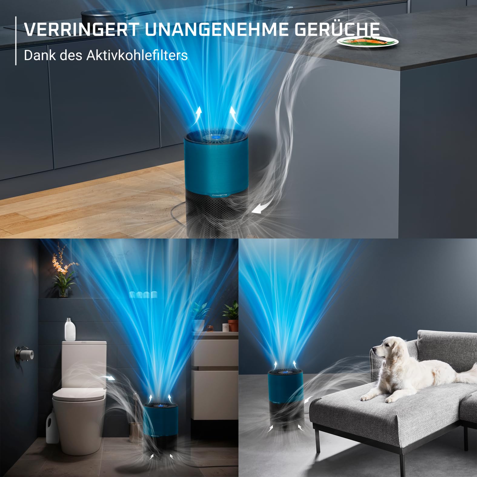 Rowenta Pure Air Compact Luftreiniger, für Zuhause, hocheffiziente Luftreinigung, bis 52 m², 3-in-1 Filterung, HEPA Allergy+, Echtzeit-Luftqualitätsanzeige, Schwarz/Blau, PU2221F0