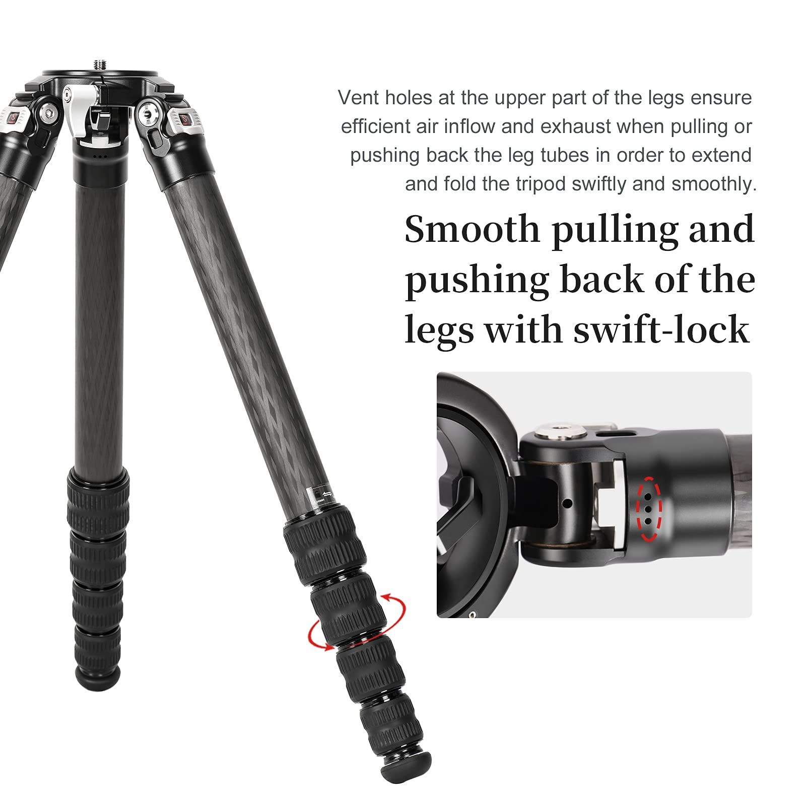 SUNWAYFOTO T3650CM Treppiede In Fibra Per Videocamera Fotografia