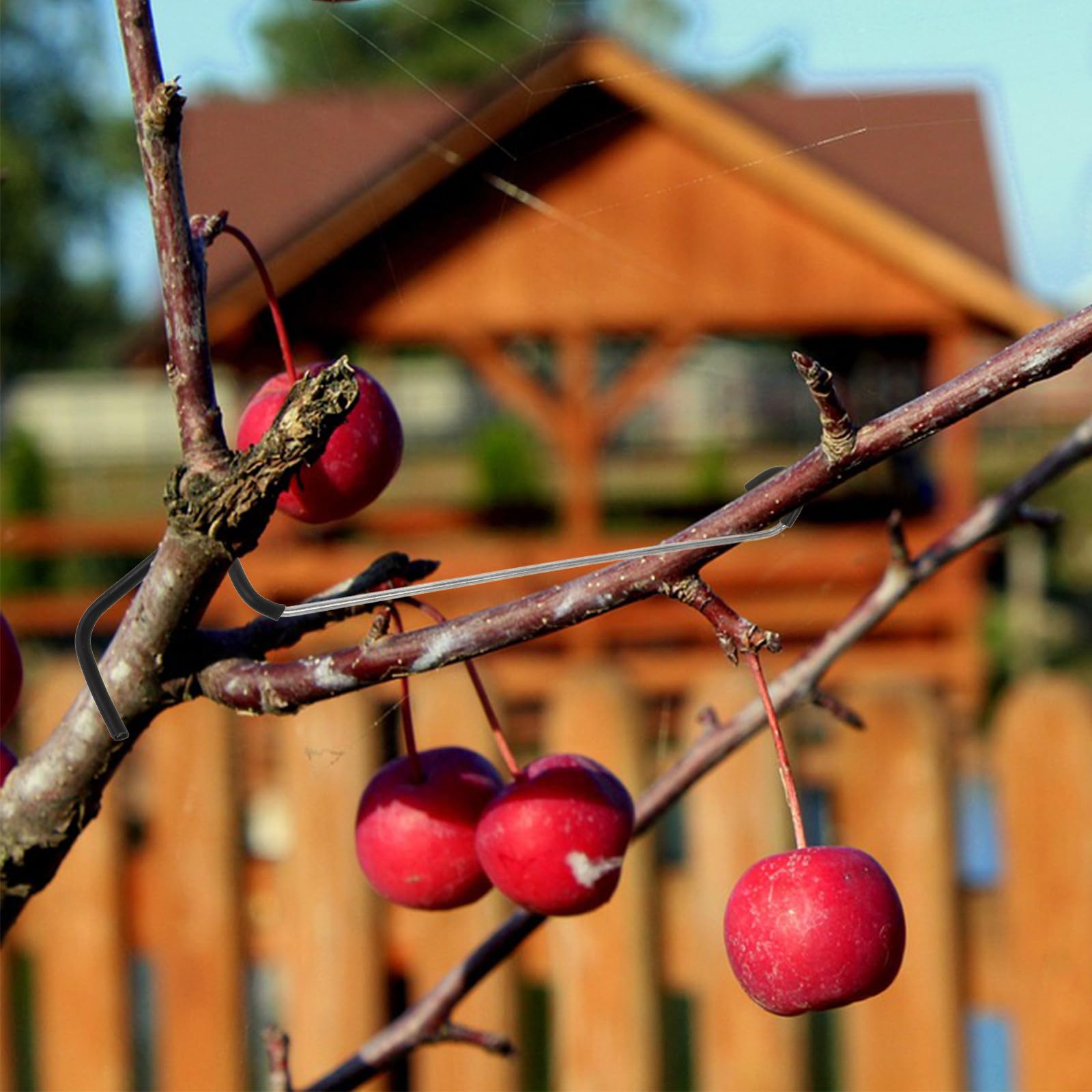 Kisangel 10 Stück Verstellbare Pflanzenstütze aus Edelstahl und Gummi Praktische Astspreizer für Obstbäume Einfache Montage für Garten und Obstbau