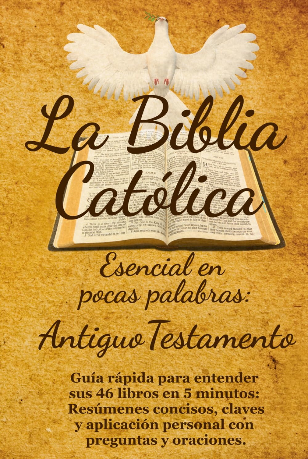 La Biblia Católica Esencial en Pocas Palabras: Antiguo Testamento: Guía rápida para entender sus 46 libros en 5 minutos: Resúmenes concisos, claves y aplicación personal con preguntas y oraciones.
