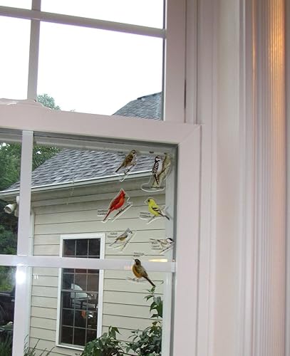 Adhesivos para ventana