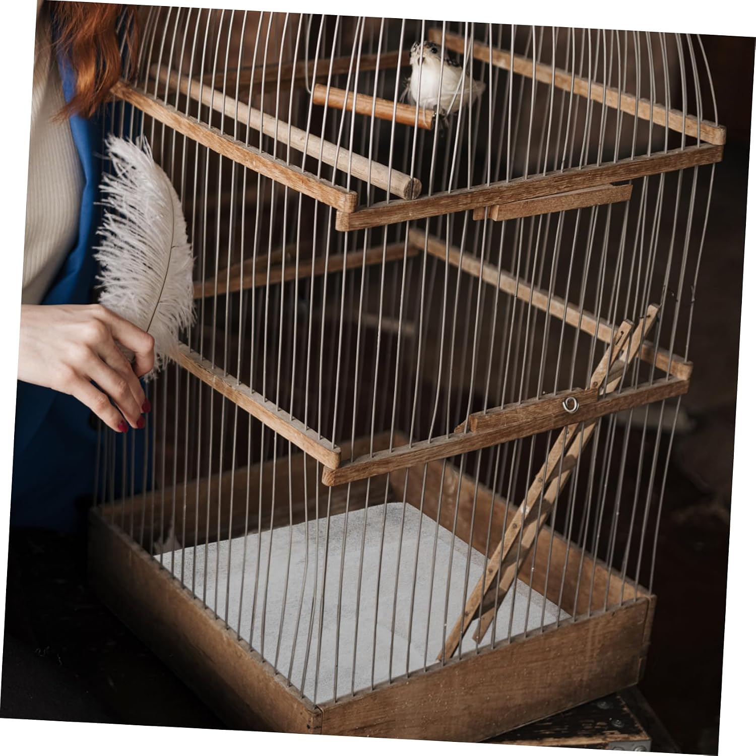 100pcs Disposable Bird Cage Liners Paper Mats Absorbent Bottom Pads for Parrot and Small Birds Safe and Breathable Easy to Clean and Use