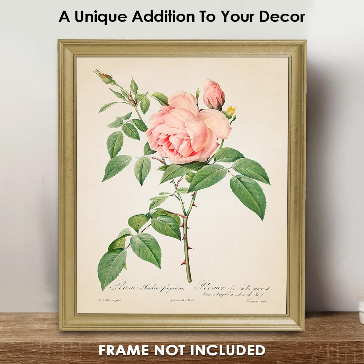 Amazon.com: Vintage Pink Roses Botanical Wall Art - Give Your Home