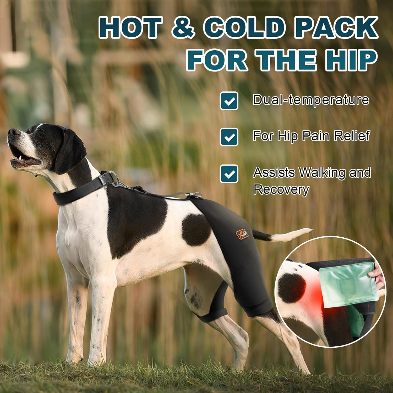 Dog Hip Brace with Hot/Cold Compress, Support for Hip Dysplasia, Arthritis, Back Leg limping, Prevents Hip Joint Issues, Reduce Hip Pain etc(Male Dog, XL)