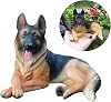 Deutsche Schäferhund Miniaturfigur detaillierte Wolfshund Figur Spielzeug realistisches Tiermodell Ornament für Gartenlandschaft Deutsche Schäferhund Figur