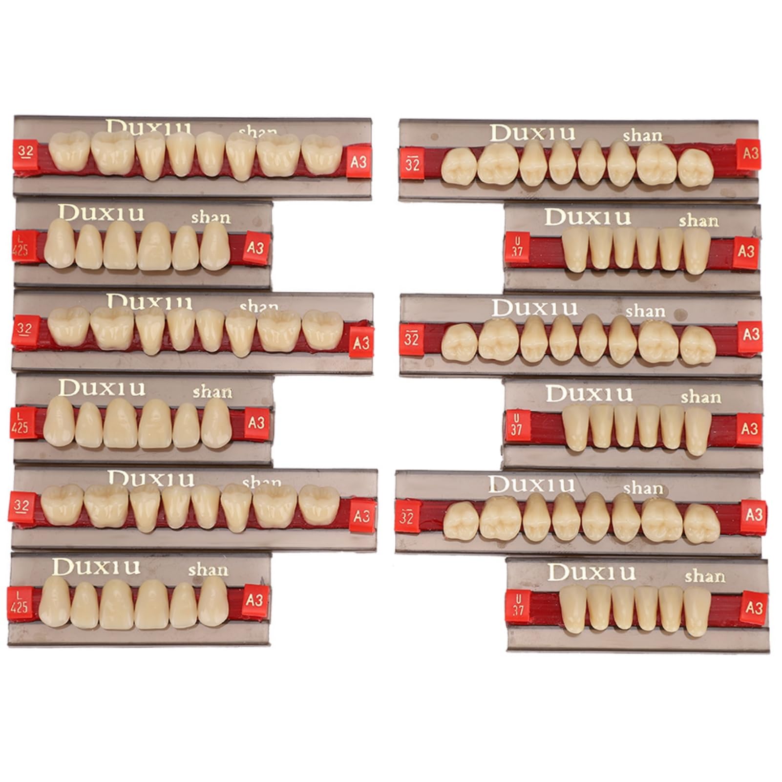 12 Uds. Dentadura postiza de resina, 84 Completos de Material Dental tonos A3, dentadura postiza de resina sintética para reemplazo DIY, Halloween Suministros para dentistas