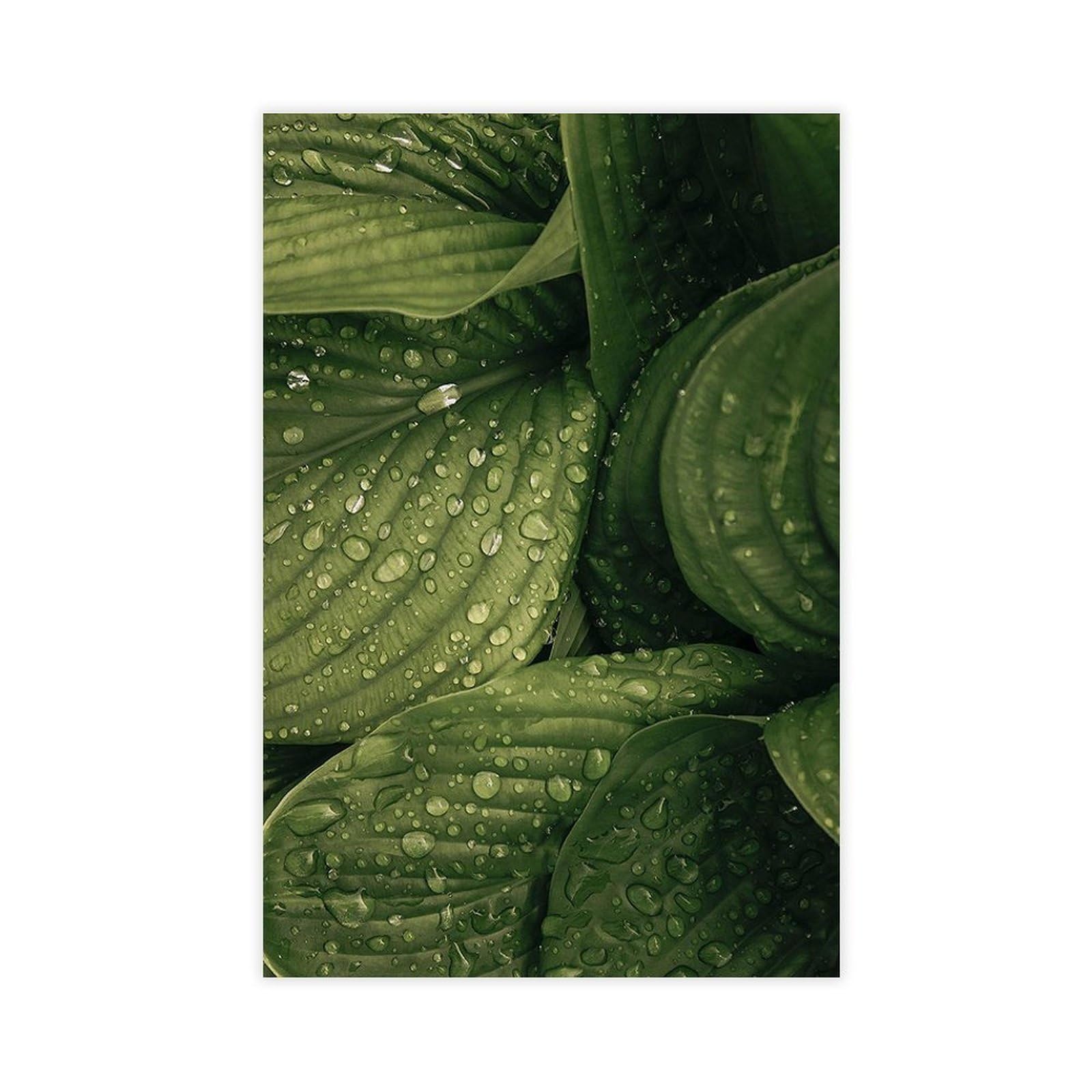 Bareronor Raindrops Botanical Canvas Poster Bedroom Decor Landscape Office Room Decor Gift 24" L X 36" W