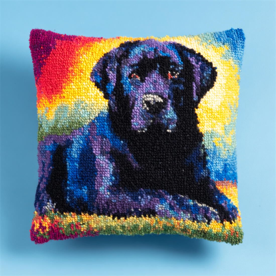 Kitquiver Animal Latch Hook Cushion Kits Colorful Dog Latch Hook Kit Pillow DIY Rug Crochet Hook Cushion Making Kits with Preprinted Pattern Canvas 17x17In