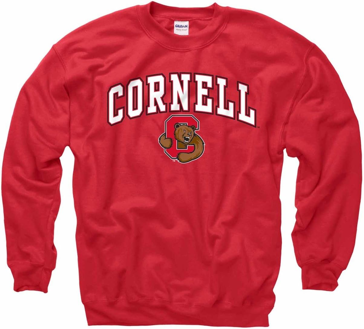 Campus Colors Adult Arch & Logo Soft Style Gameday Crewneck Sweatshirt