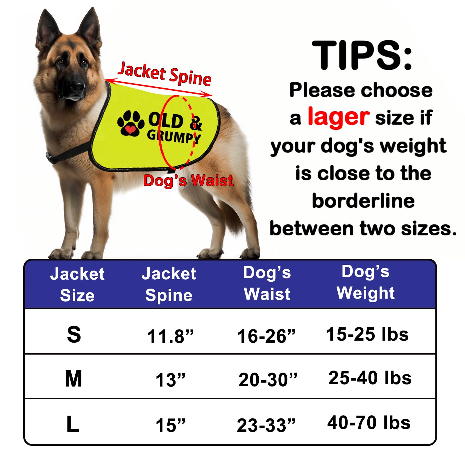 Funny Grumpy Dog Jacket Old&Grumpy Dog Slogan Vest Social Distancing Gift Nervous Dogs Gift Grumpy Animals Vest (OLD & GRUMPY-Medium) - Image 2