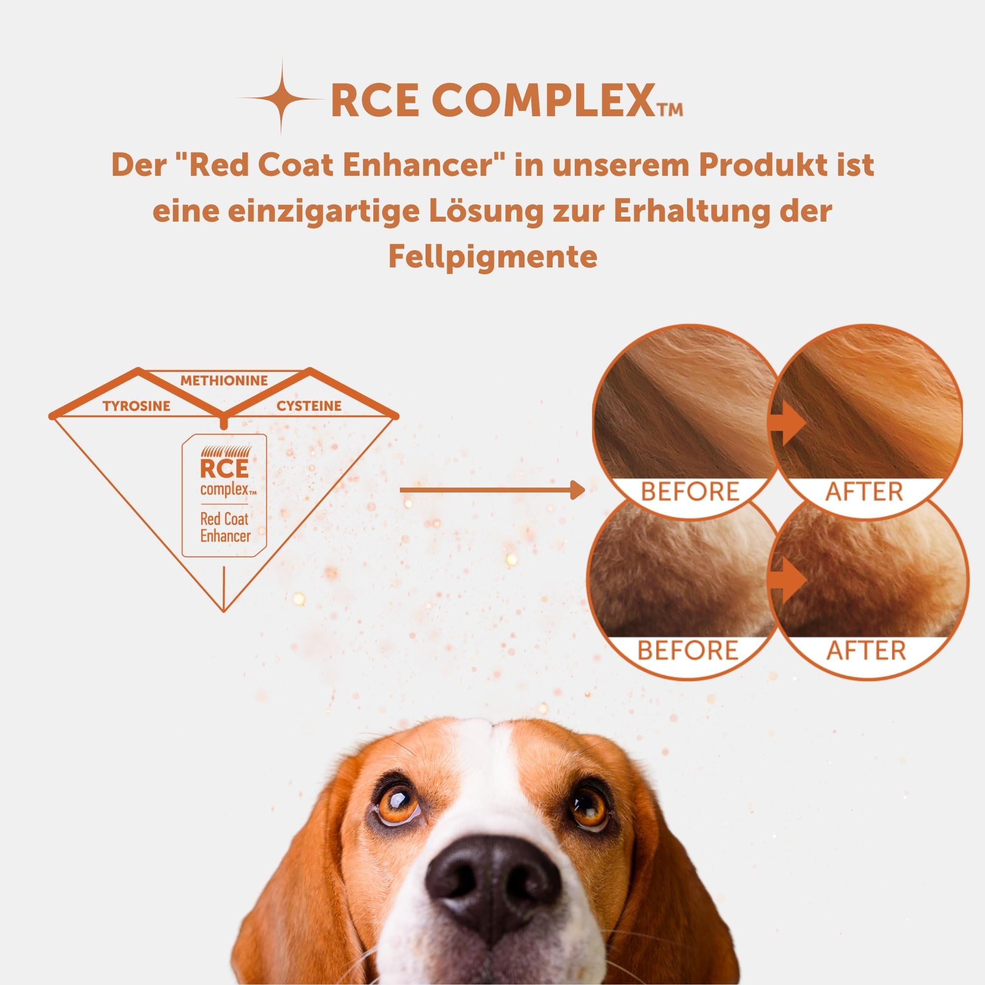 Nature's Protection Superior Care Trockenfutter für kleine Junghunde, mit Lachs, fleckenabweisend, hypoallergen mit Verstärkung des roten Fells, 1,5 kg.