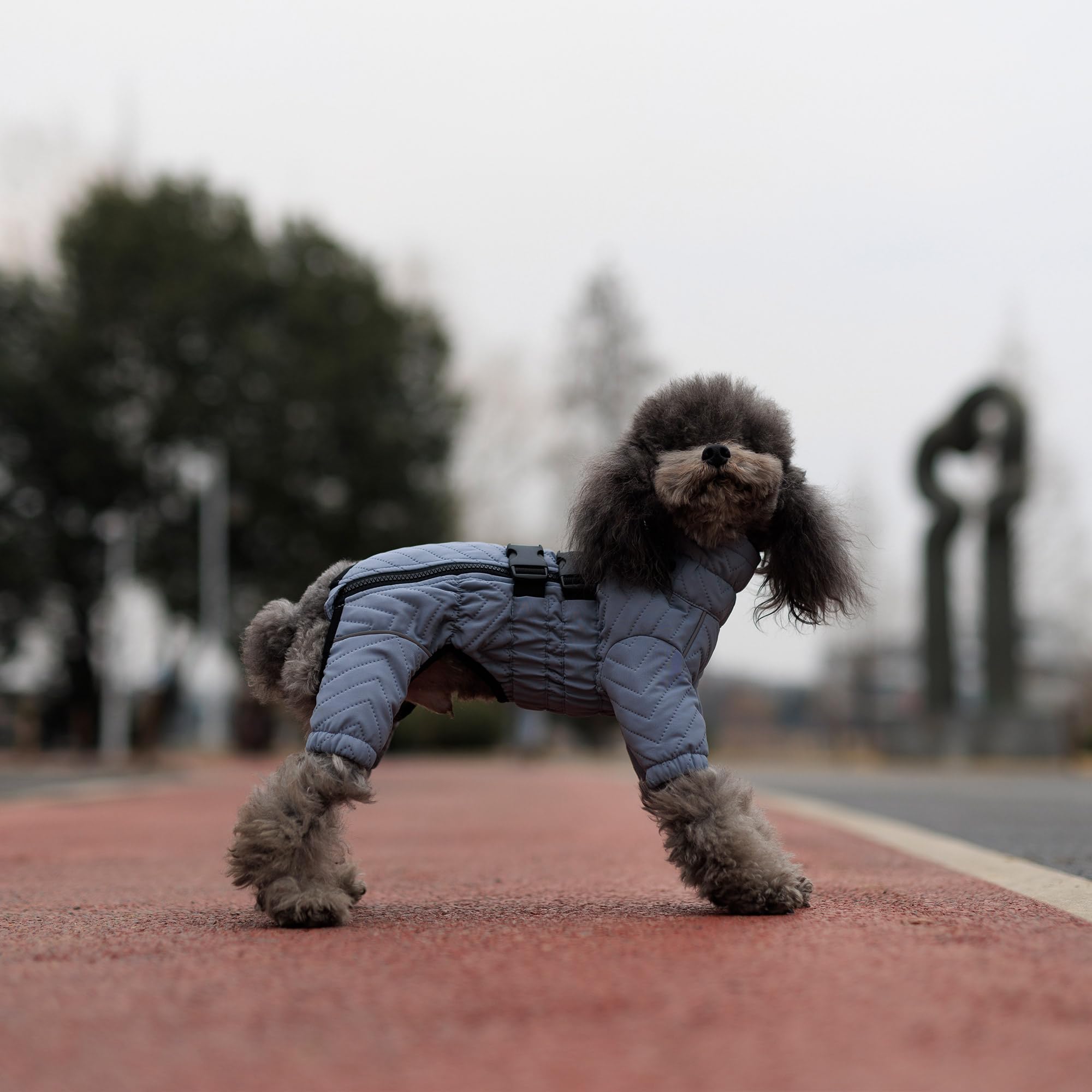 Abrigo cálido para perro, chaleco de doble capa, 4 patas cubiertas, resistente al viento, impermeable, reflectante, chaleco cálido para perro, patinaje al aire libre, disfraz para perros pequeños,