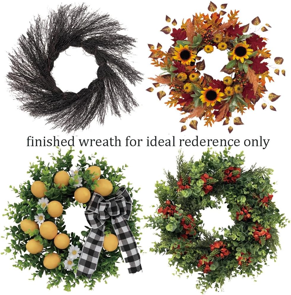 Doulewin 2PCS 16 inch Artificial Plastic Sun Vine Wreath Base Craftsmanship, Rustic Plain Twig Wreath Making Supplies Base for Decor
