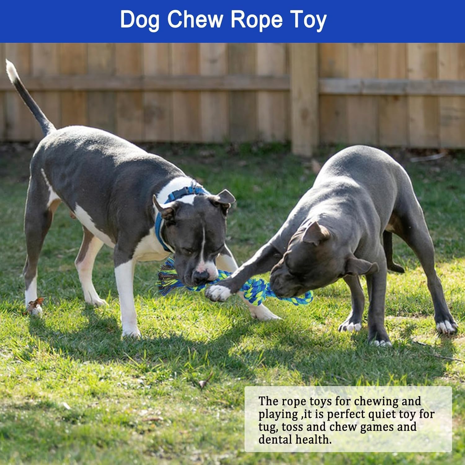 Tether Tug - Juguete para perros al aire libre, juguete elástico para colgar del árbol con cuerda de señuelo para masticadores agresivos pequeños, medianos y grandes para jugar con ejercicio