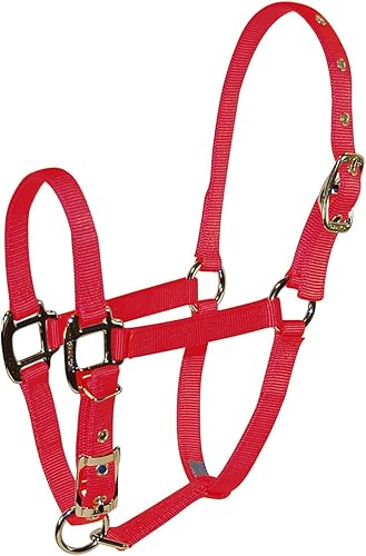 Miniatura 8 de Hamilton Pet & Equine Hamilton - Caballo ajustable de nailon (34 pulgadas), color rojo