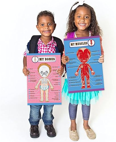 Miniatura 7 de Carteles educativos de aprendizaje del cuerpo humano, partes del cuerpo, tabla de pared de aprendizaje para niños, tabla de anatomía de dibujos