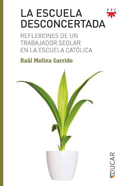 Portada de La Escuela Desconcertada: Reflexiones de un Trabajador Seglar en la Es