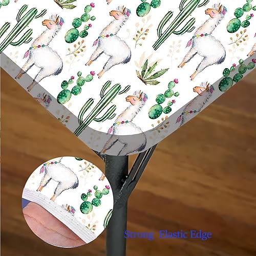 Miniatura 5 de Manteles decorativos de cactus, manteles decorativos para el hogar con plantas del desierto del sur caliente, cactus, camel, se adapta a mesas de 36