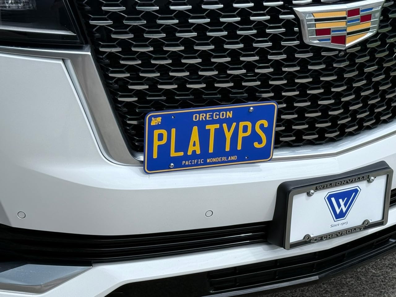 CravenSpeed Platypus License Plate Grille Mount Compatible with Cadillac Escalade (5th Gen) 2021-2025 | No Drilling | Installs in Seconds | Made of Stainless Steel & Aluminum | Made in USA