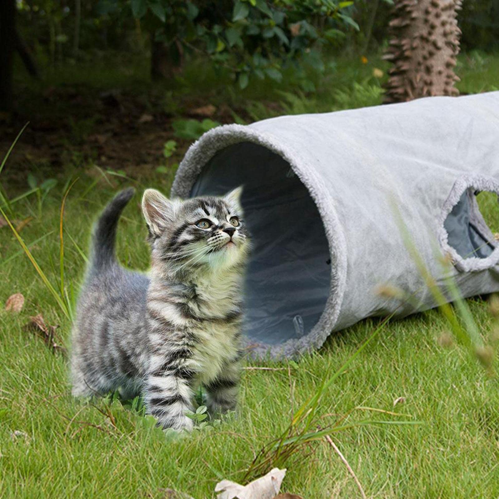 predolo Up Tunnel Pet Tunnel Zusammenklappbarer Tunnel/Port Activity Toy, S