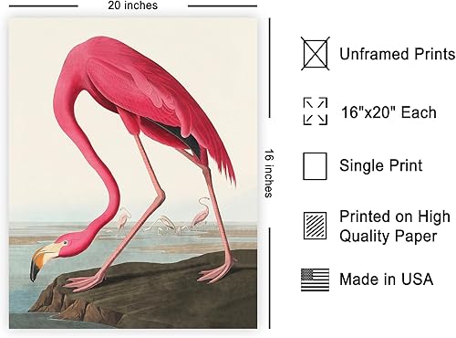 Miniatura 394 de Poster Master Póster vintage de flamenco americano, estampado retro de flamenco rosa, arte de pájaro, regalo para él, ella, amante de los animales,