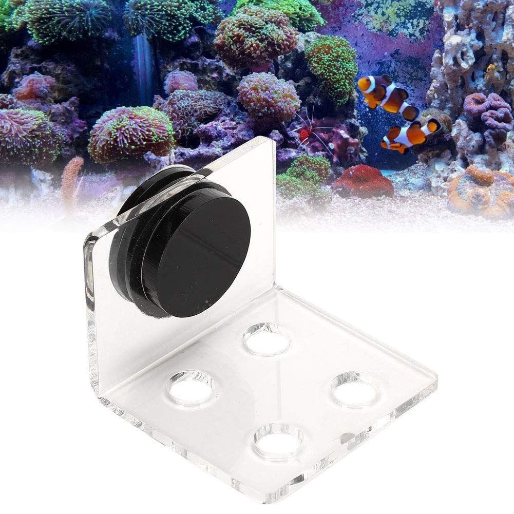 KENANLAN Coral Shelf, Coral Shelf Bracket for Aquariums, Acrylic, Strong Suction, Coral Fragment Shelf Bracket (4 Holes)
