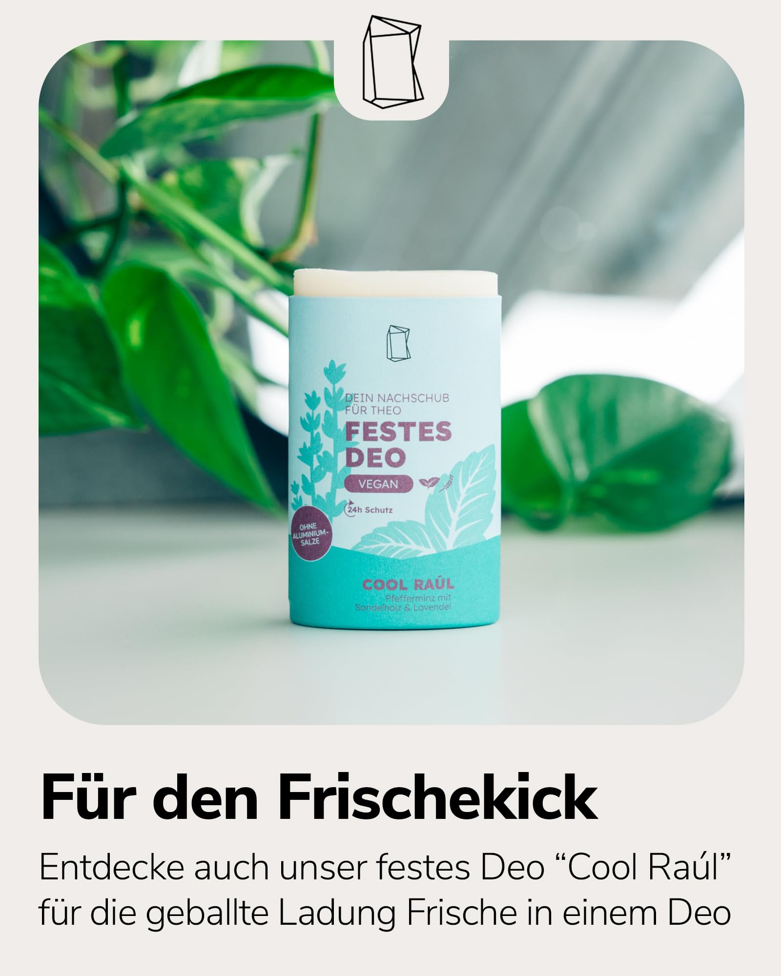 Duschbrocken Festes Deo Starterset - 3x Cool Raúl Deodorant mit Deo-Behälter - Herb & Frisch - 24h Schutz ohne Aluminium - Vegan & Plastikfrei - 316g